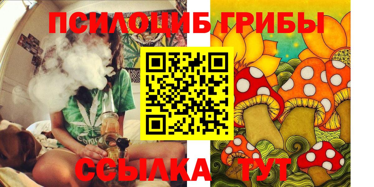 Людиново  Галлюциногенные грибы Psilocybine cubensis  Галлюциногенные грибы MAGIC MUSHROOMS  Вход с VPN 